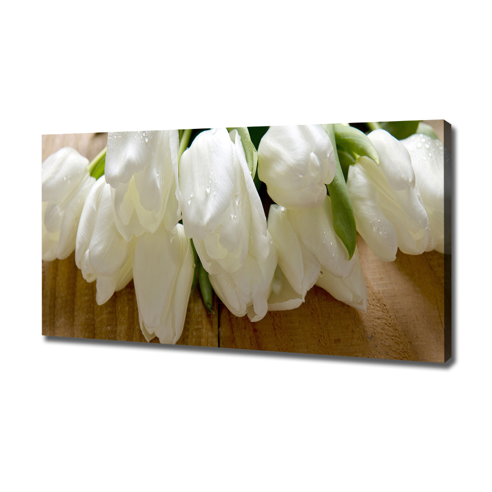 Foto obraz na płótnie Białe tulipany