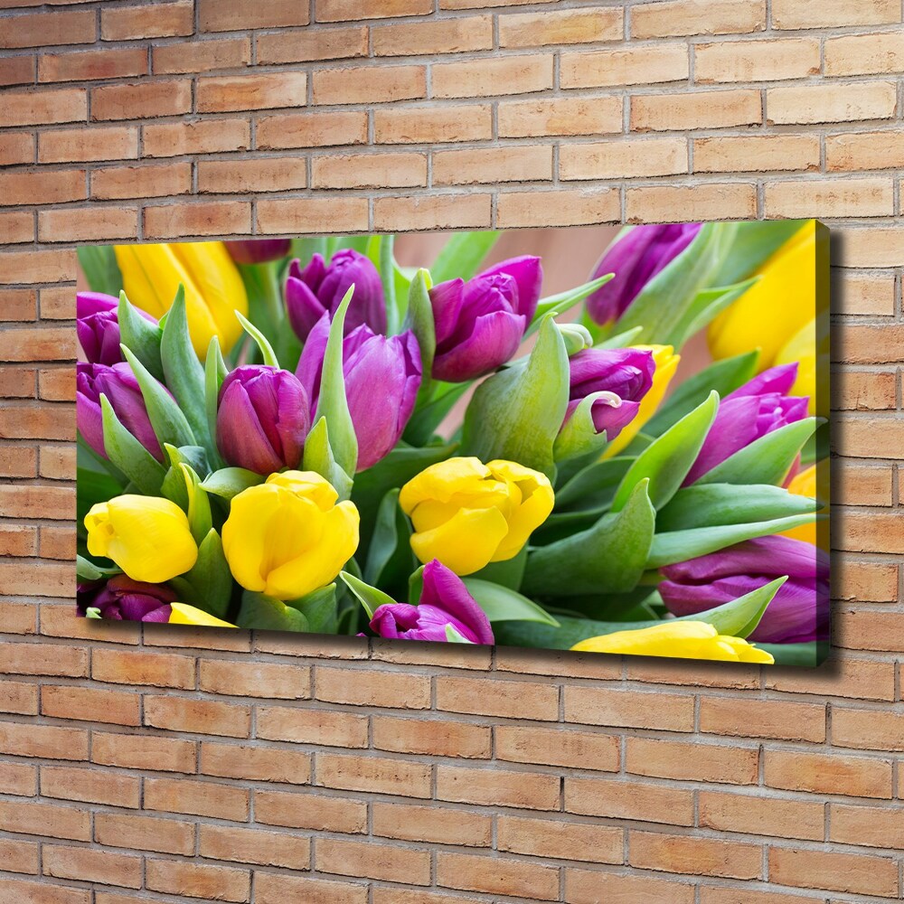 Foto obraz na płótnie Kolorowe tulipany