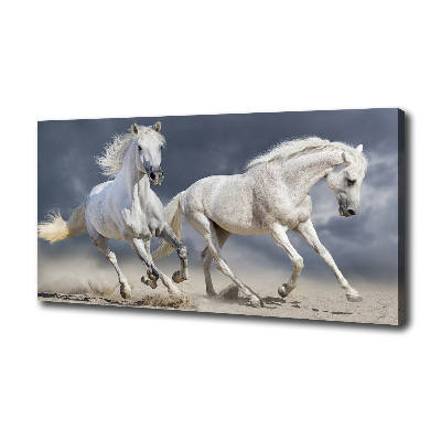 Obraz canvas do salonu Białe konie plaża