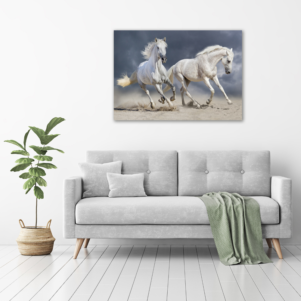 Obraz canvas do salonu Białe konie plaża