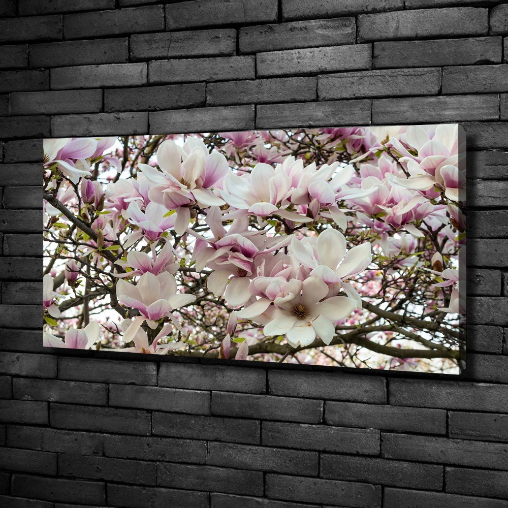 Foto obraz na płótnie Kwiaty magnolii