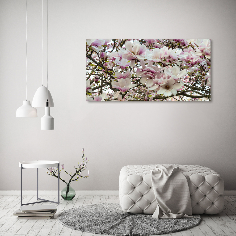 Foto obraz na płótnie Kwiaty magnolii