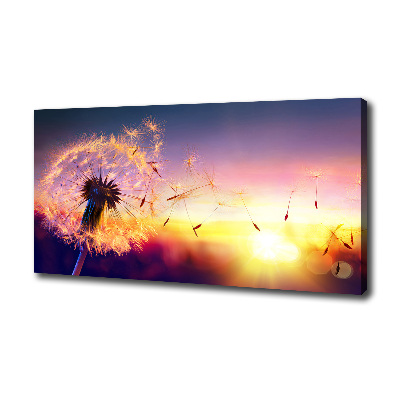 Foto obraz canvas Dmuchawiec