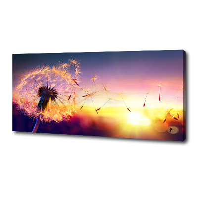 Foto obraz canvas Dmuchawiec