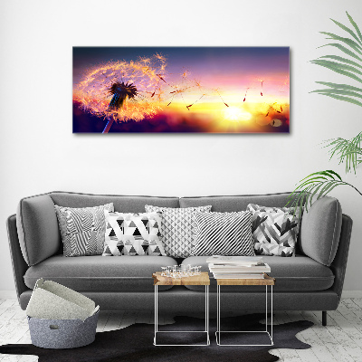 Foto obraz canvas Dmuchawiec