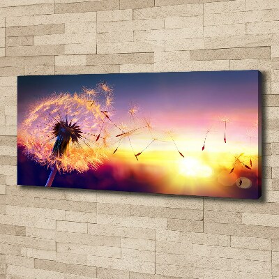 Foto obraz canvas Dmuchawiec