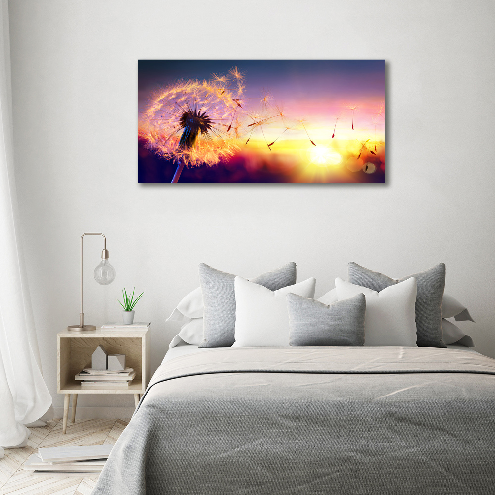 Foto obraz canvas Dmuchawiec