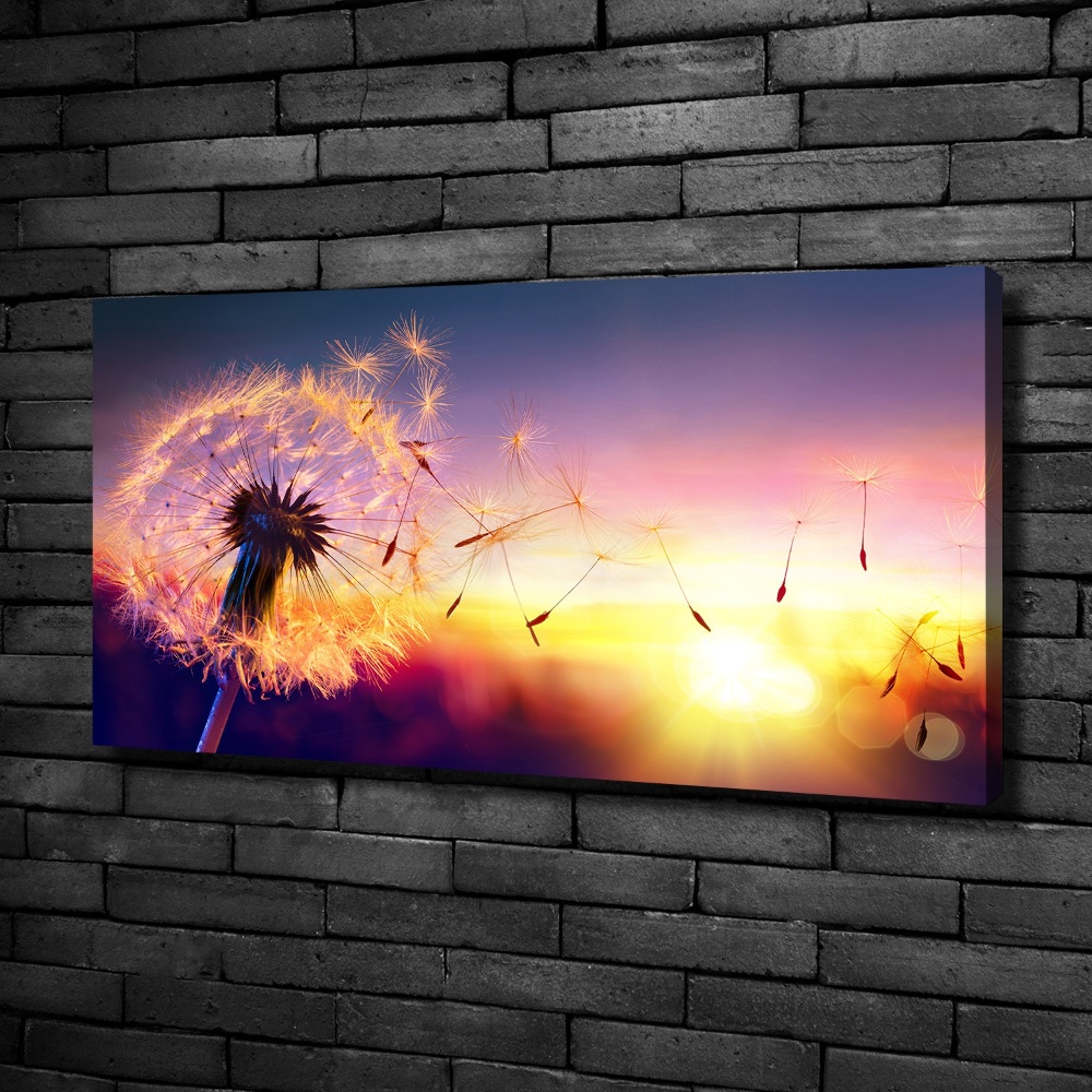 Foto obraz canvas Dmuchawiec