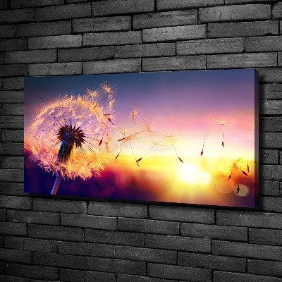 Foto obraz canvas Dmuchawiec