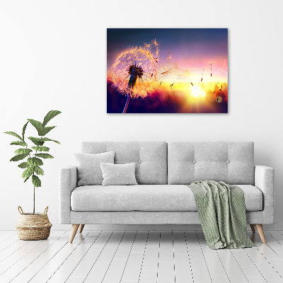 Foto obraz canvas Dmuchawiec