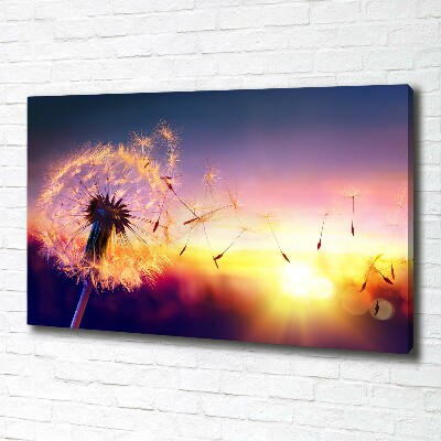 Foto obraz canvas Dmuchawiec