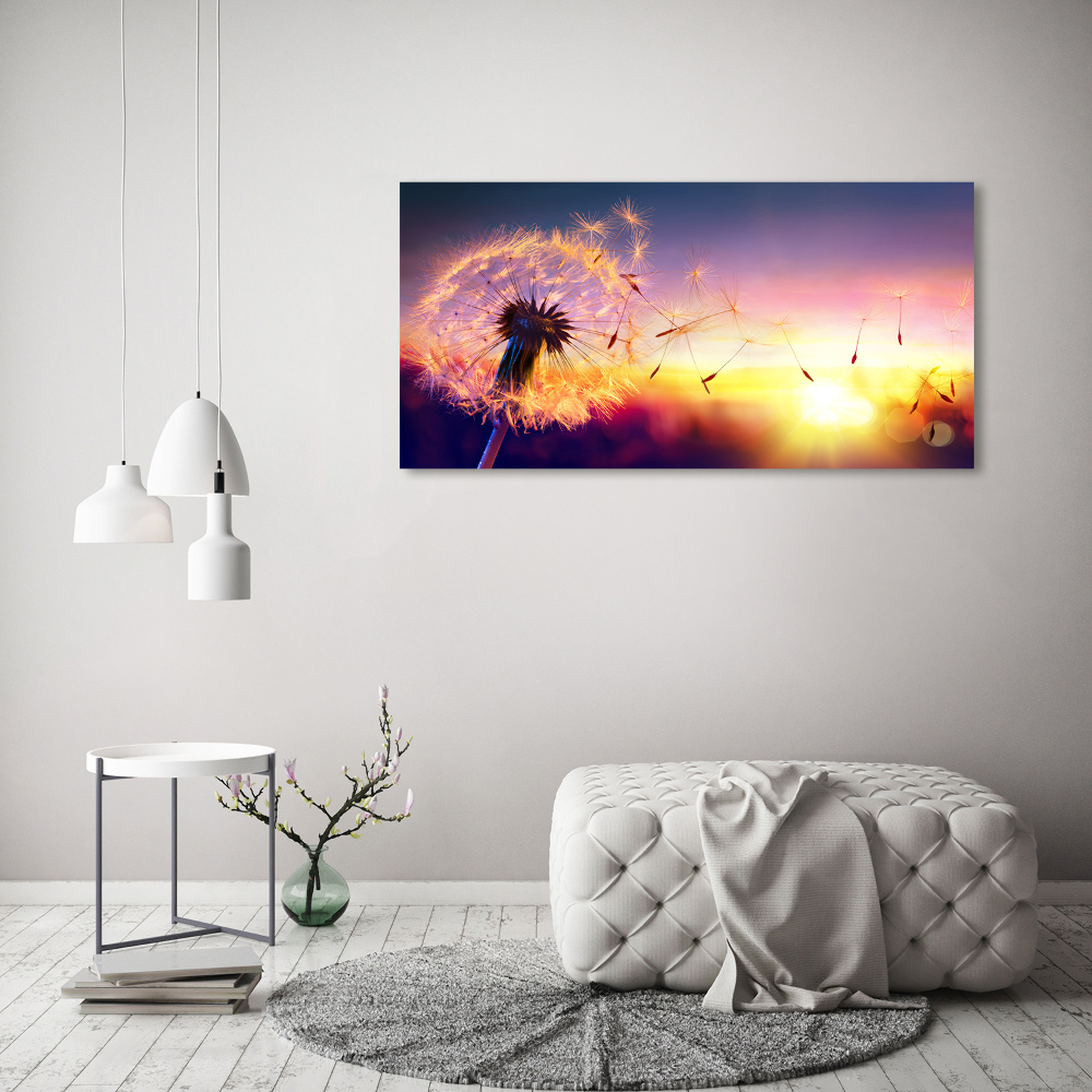 Foto obraz canvas Dmuchawiec