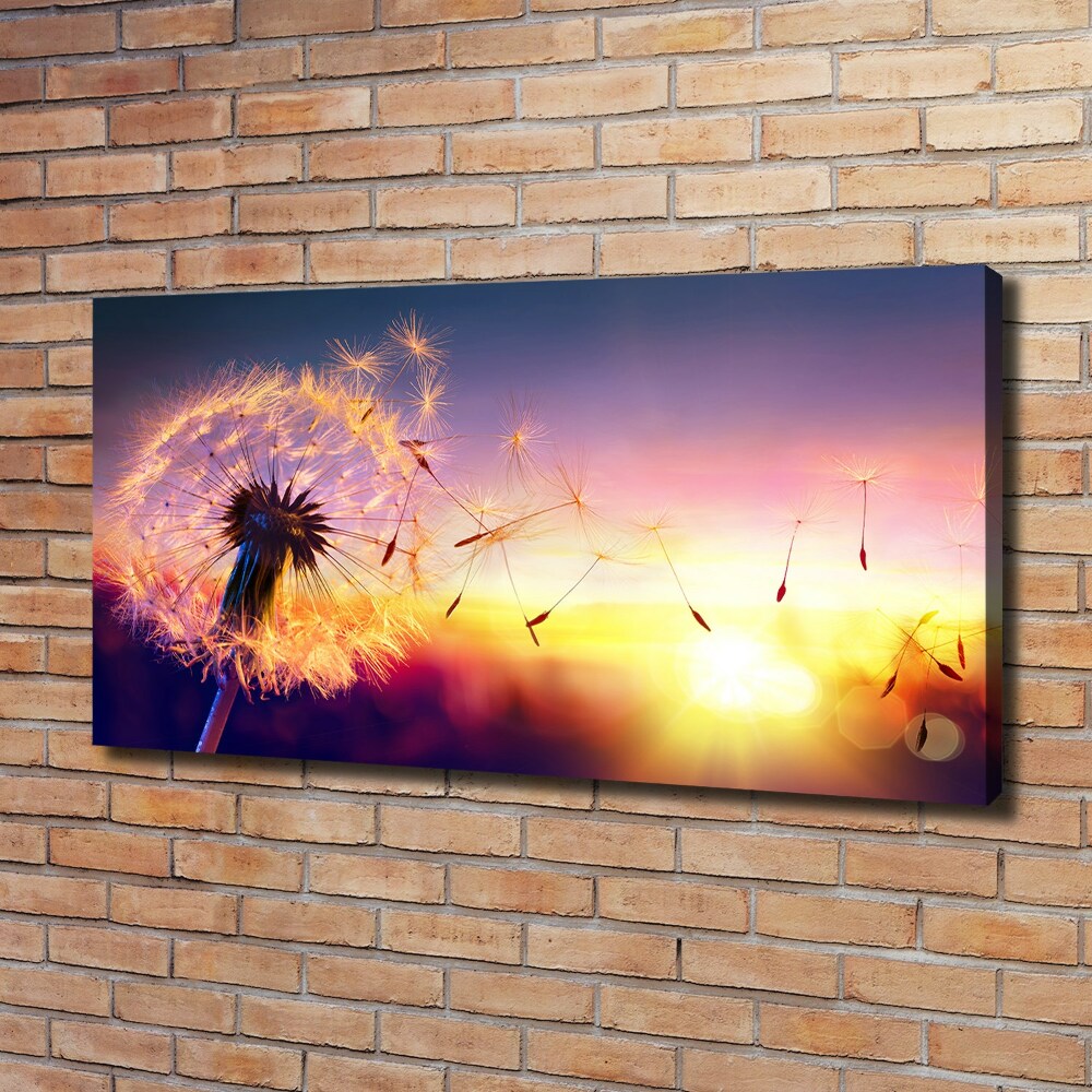 Foto obraz canvas Dmuchawiec