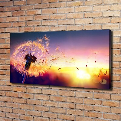 Foto obraz canvas Dmuchawiec