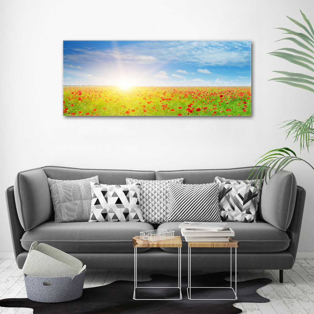 Foto obraz canvas Pole maków