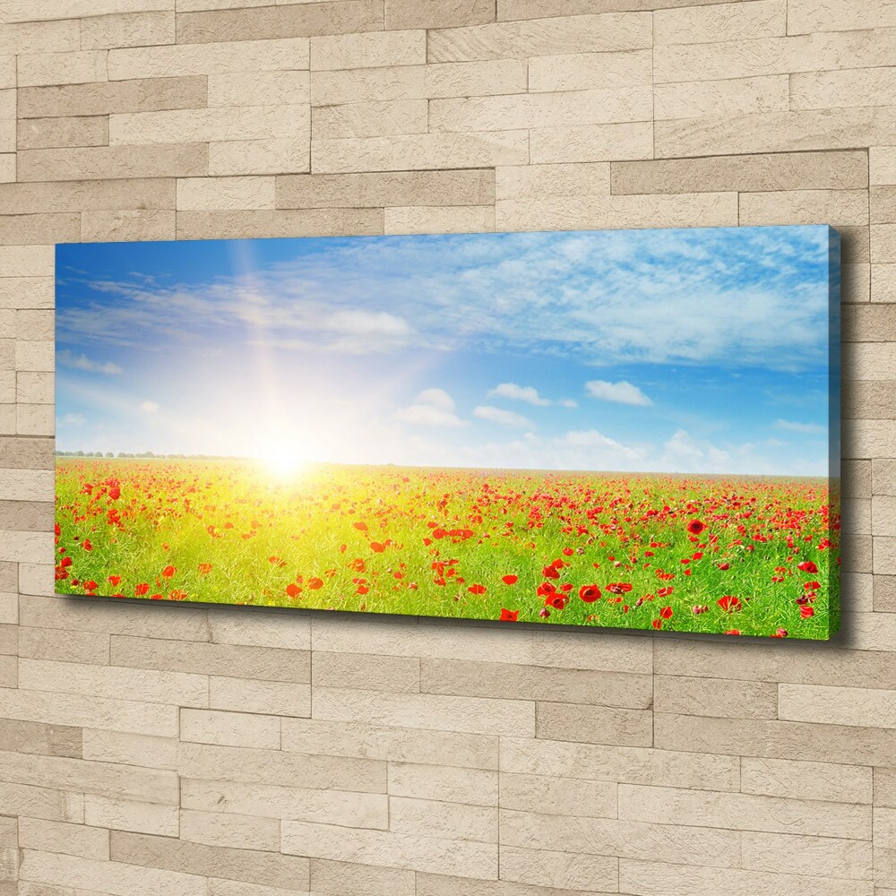 Foto obraz canvas Pole maków