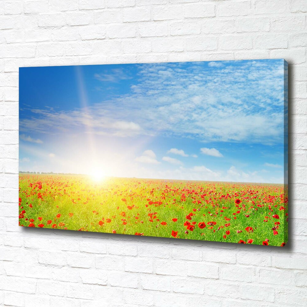 Foto obraz canvas Pole maków