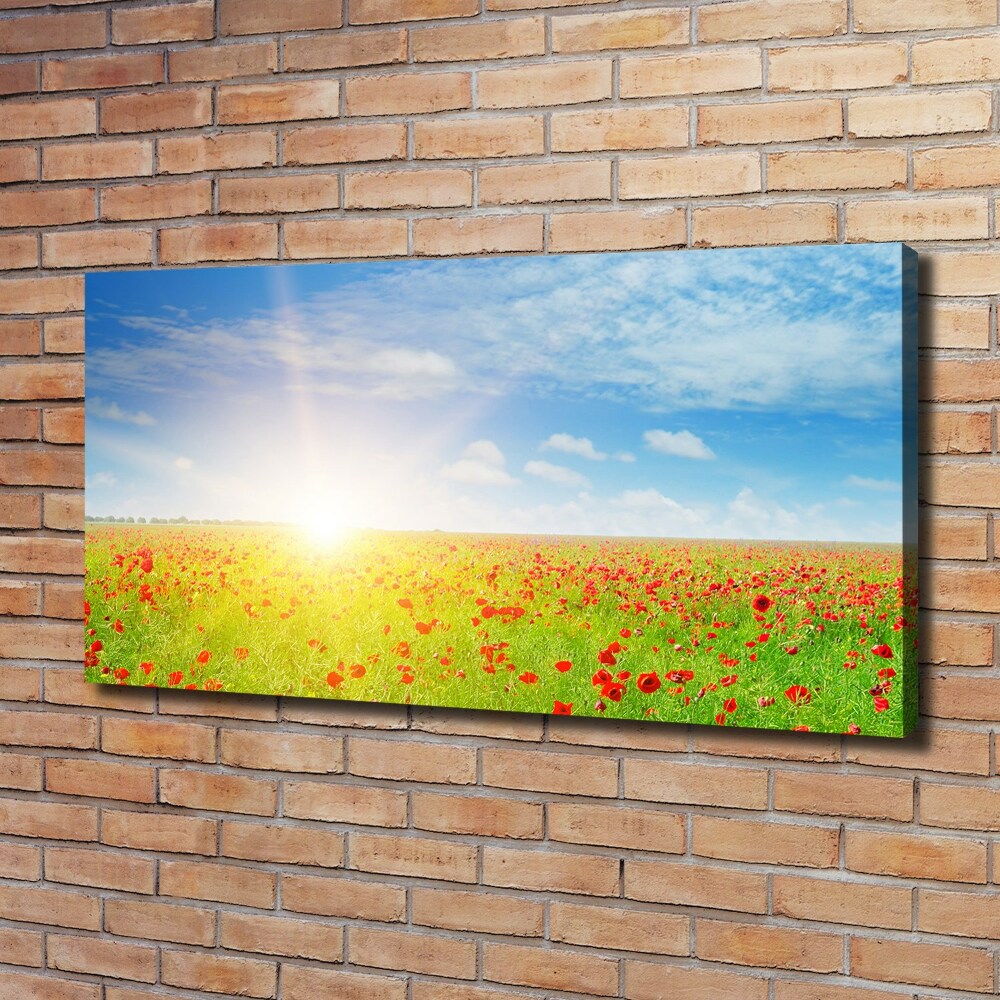 Foto obraz canvas Pole maków