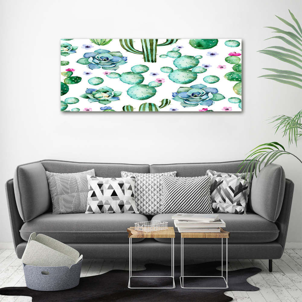 Foto obraz canvas Kaktusy