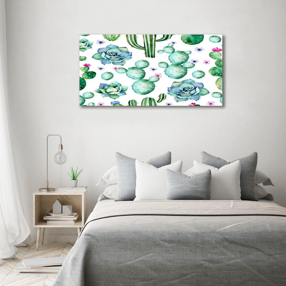 Foto obraz canvas Kaktusy