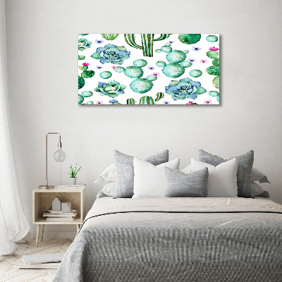 Foto obraz canvas Kaktusy