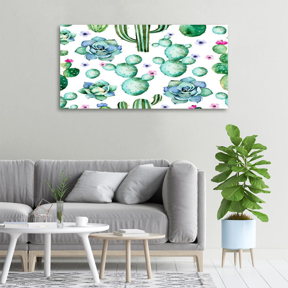 Foto obraz canvas Kaktusy