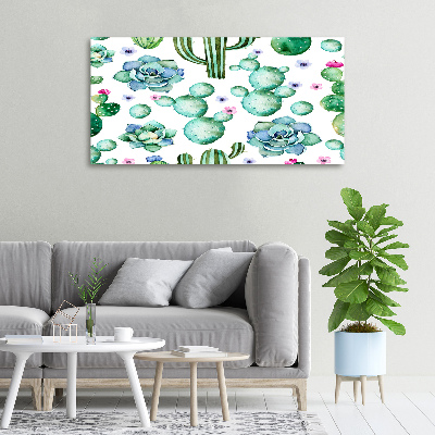 Foto obraz canvas Kaktusy