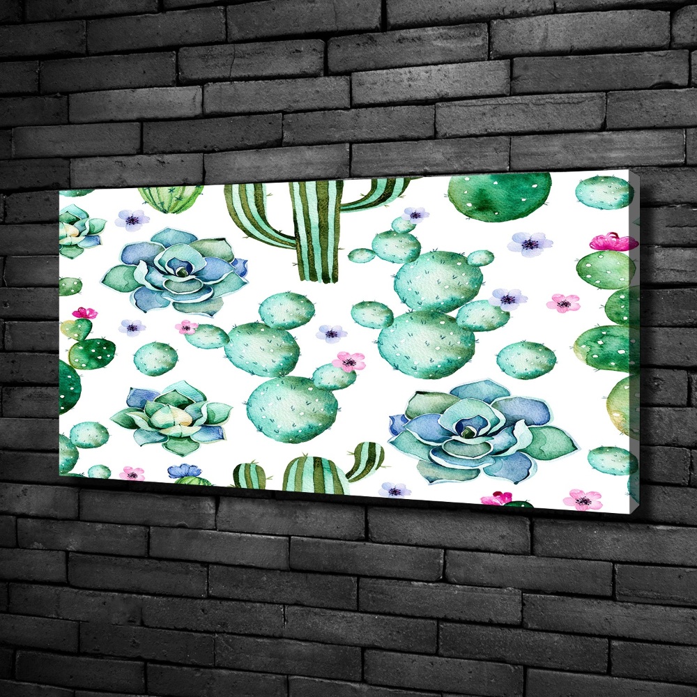 Foto obraz canvas Kaktusy