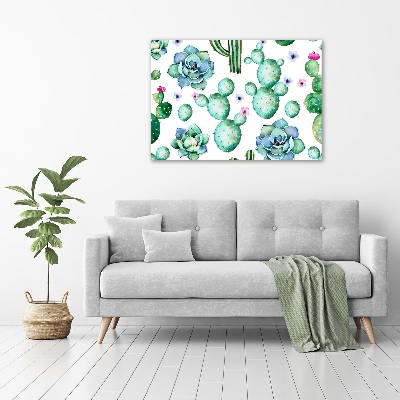 Foto obraz canvas Kaktusy