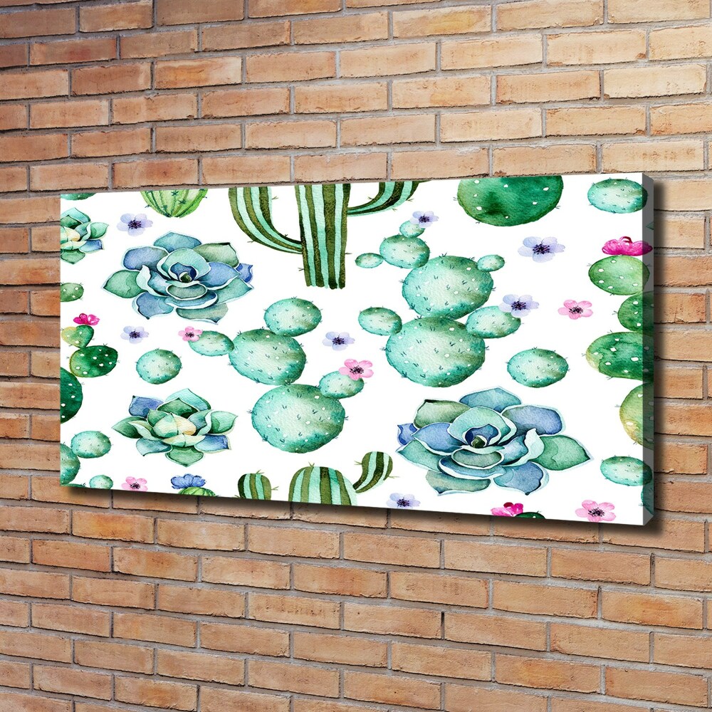 Foto obraz canvas Kaktusy