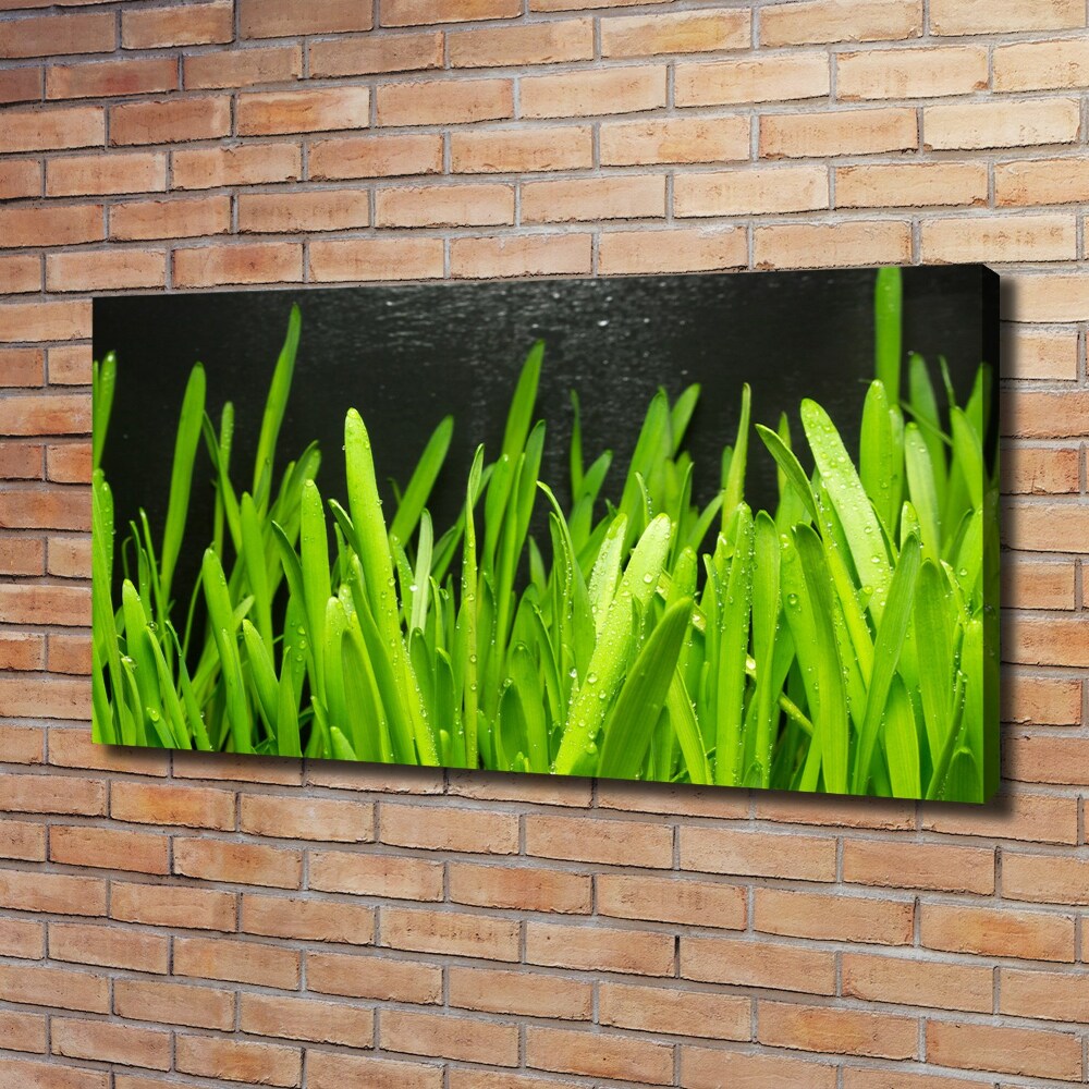 Foto obraz ze zdjęcia do salonu Trawa