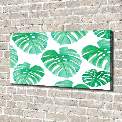 Foto obraz canvas Monstera