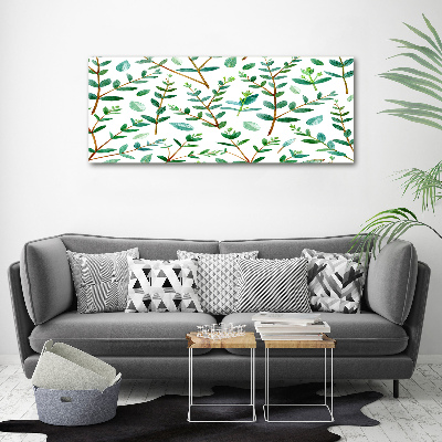 Foto obraz canvas Eukaliptus