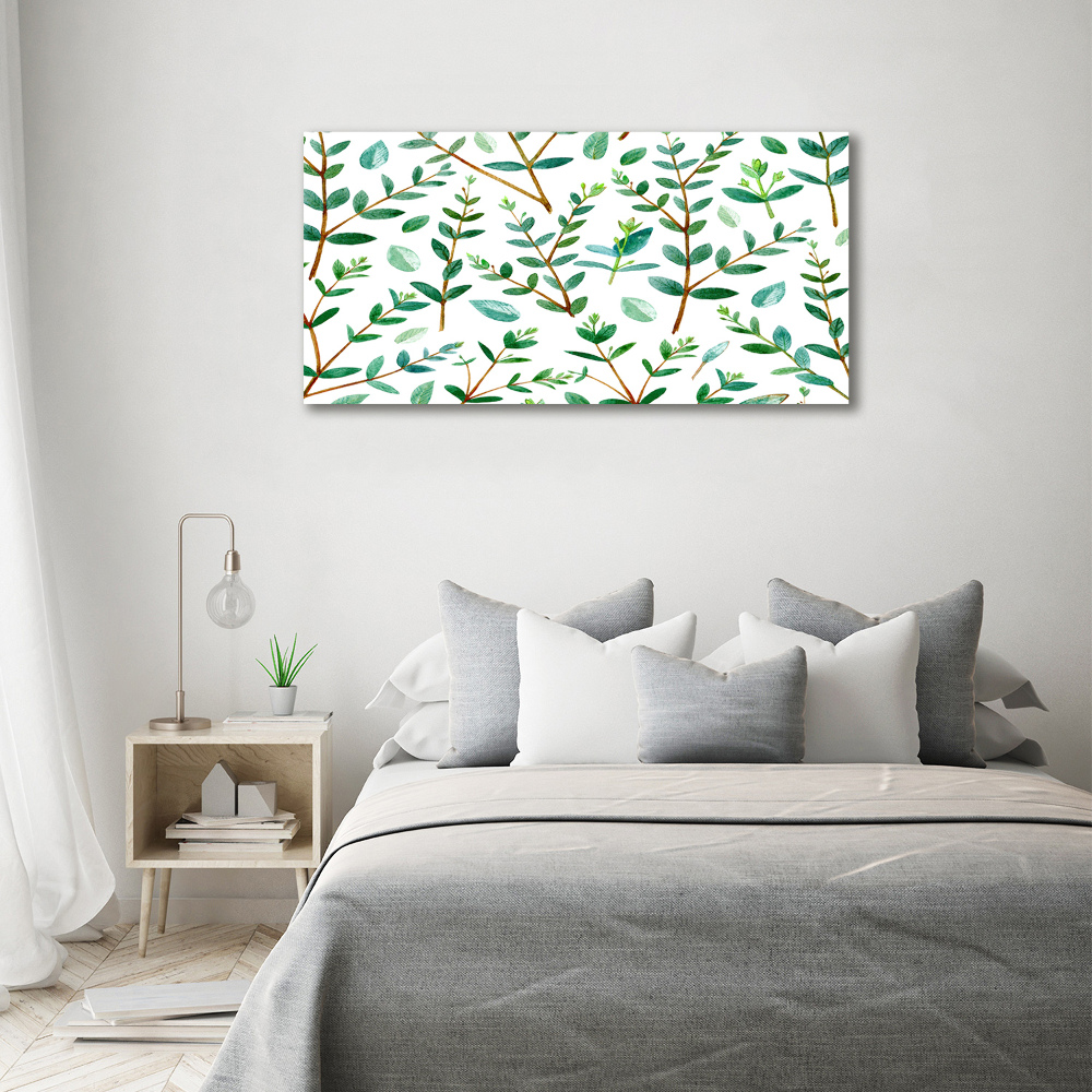 Foto obraz canvas Eukaliptus
