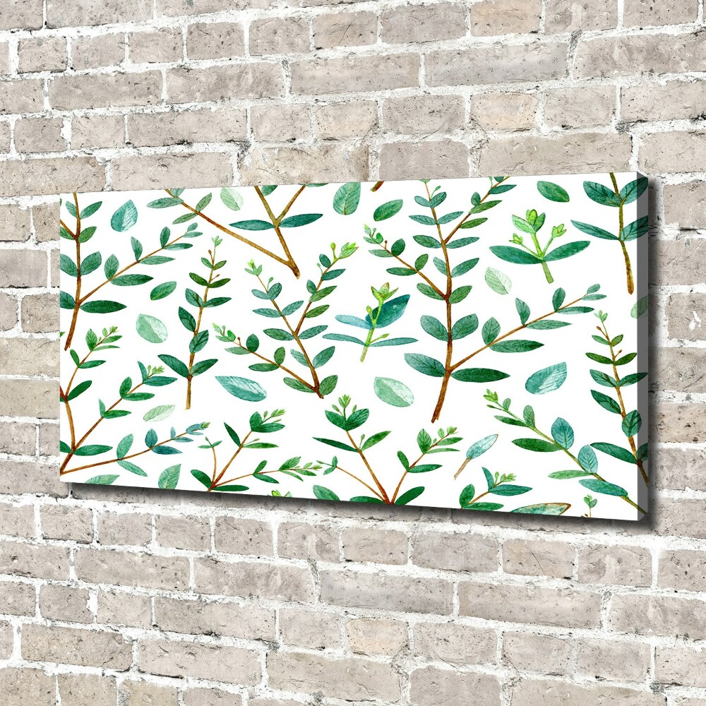 Foto obraz canvas Eukaliptus
