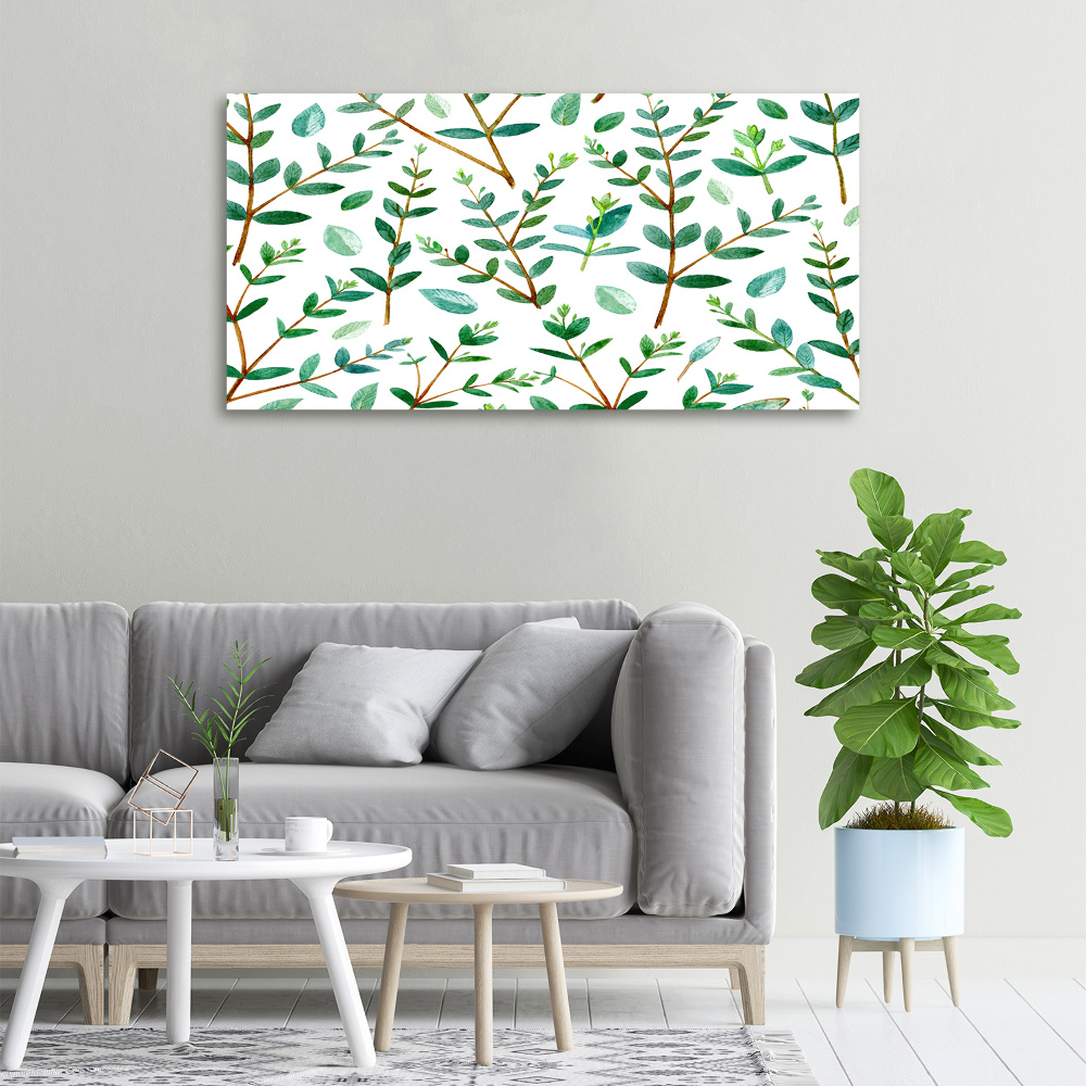 Foto obraz canvas Eukaliptus