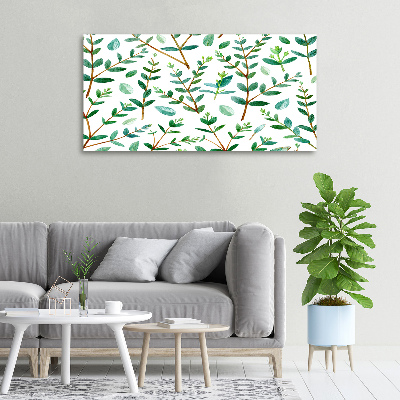 Foto obraz canvas Eukaliptus