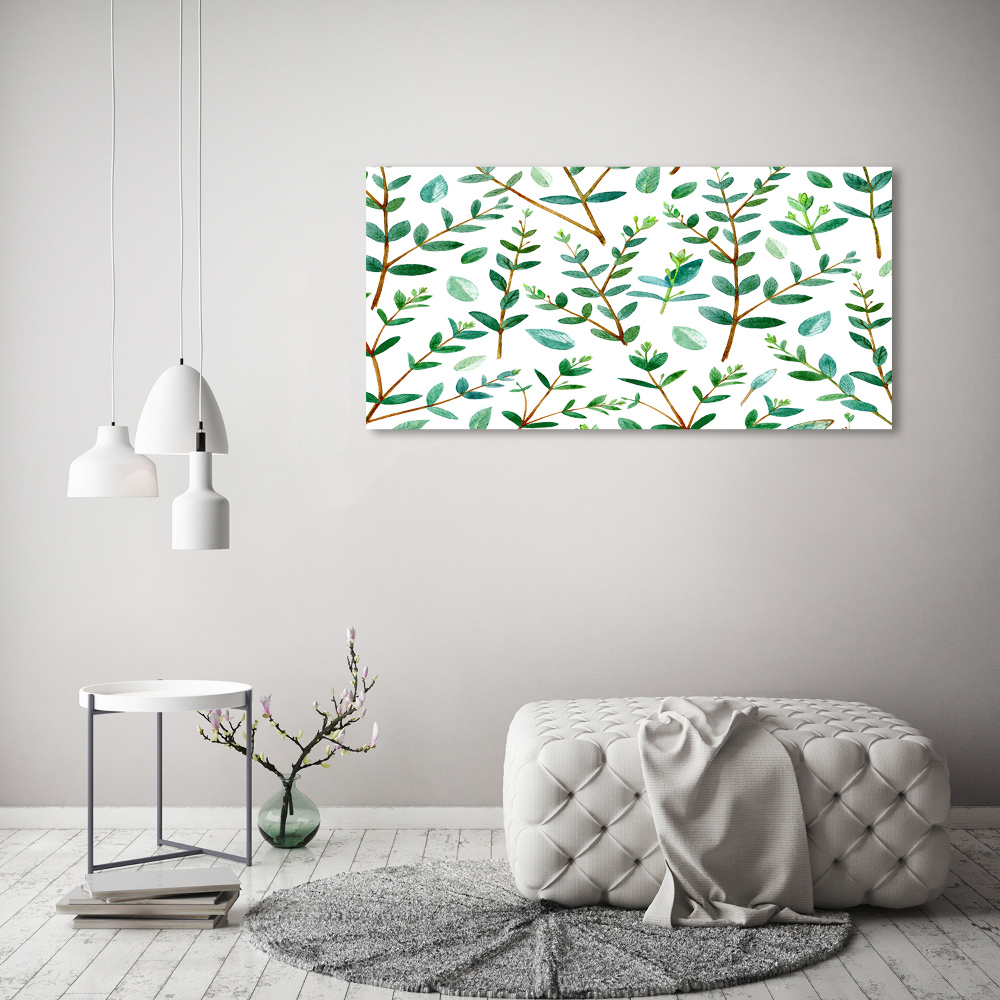 Foto obraz canvas Eukaliptus