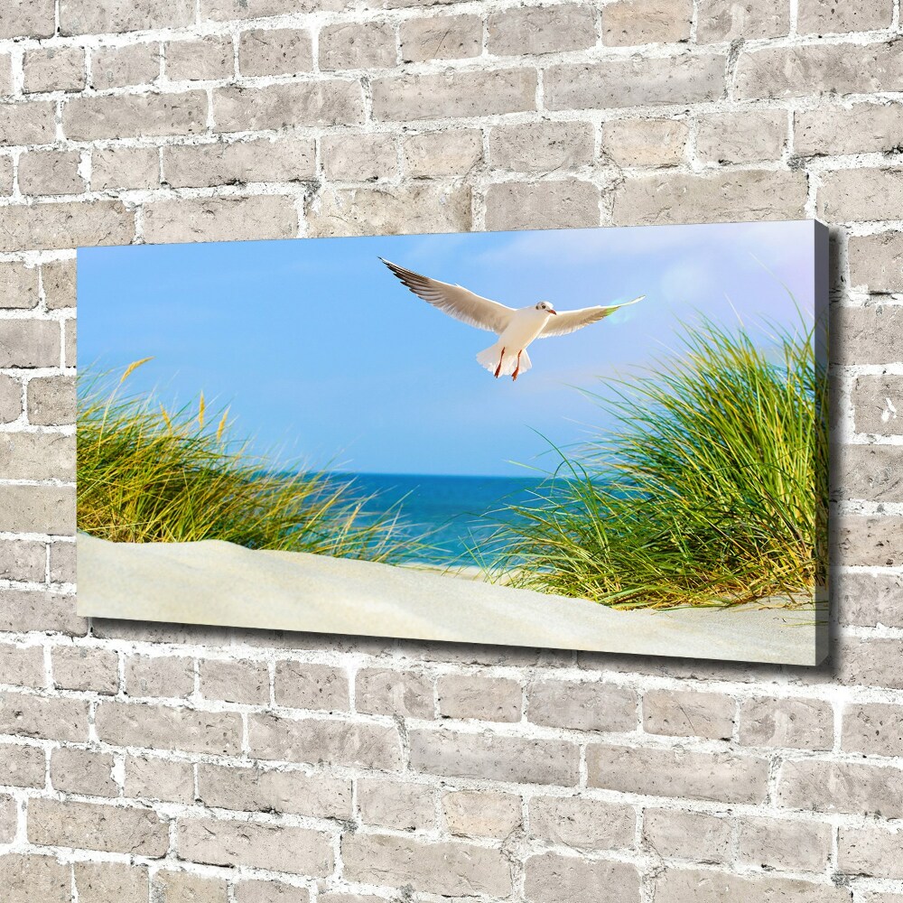 Foto obraz na płótnie Mewa na plaży