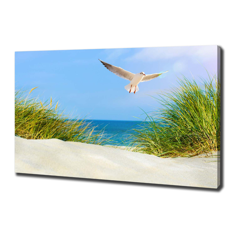 Foto obraz na płótnie Mewa na plaży