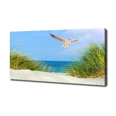 Foto obraz na płótnie Mewa na plaży