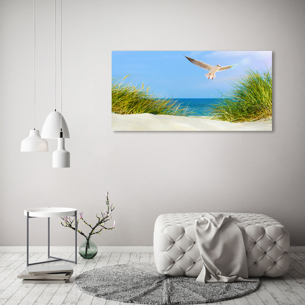 Foto obraz na płótnie Mewa na plaży