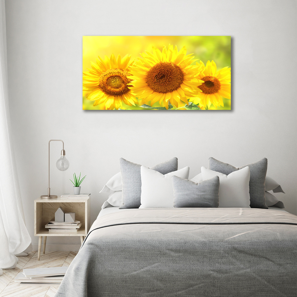 Foto obraz canvas Słoneczniki