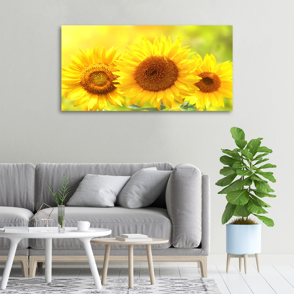 Foto obraz canvas Słoneczniki