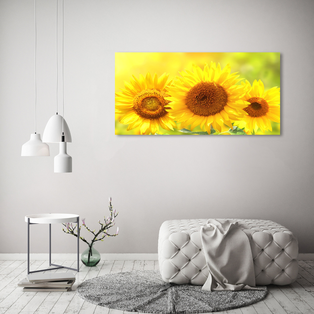 Foto obraz canvas Słoneczniki