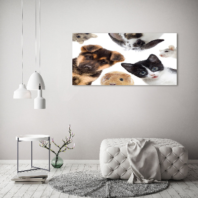Obraz canvas do salonu Zwierzęta domowe