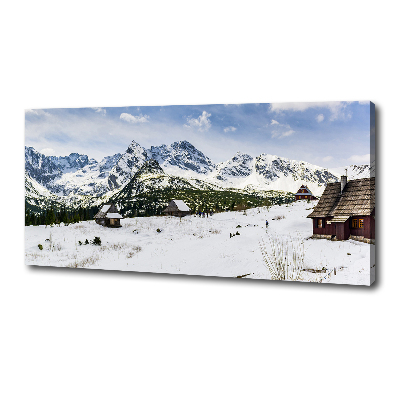 Foto obraz canvas Hale Tatry