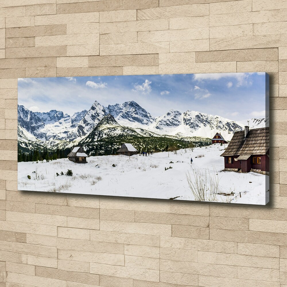 Foto obraz canvas Hale Tatry