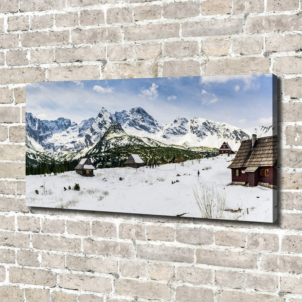 Foto obraz canvas Hale Tatry