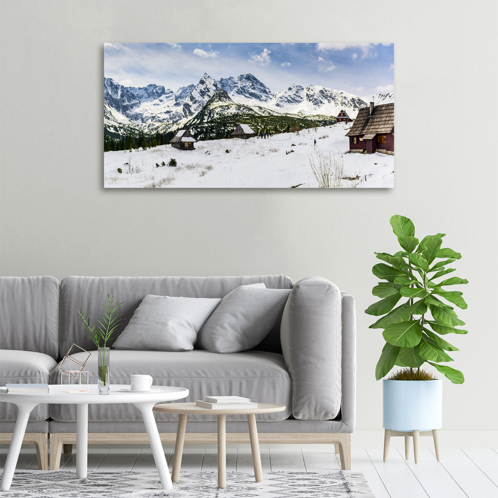 Foto obraz canvas Hale Tatry